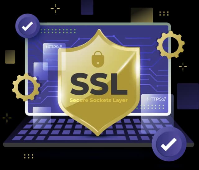 نصب رایگان گواهی SSL توسط کارشناسان برتینا