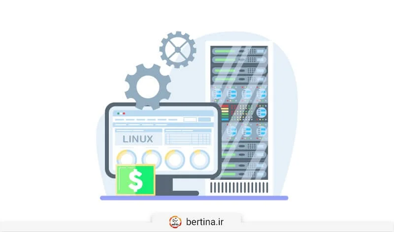 مقایسه انواع هاست - هاست لینوکس ارزان